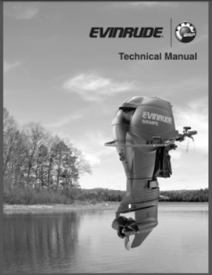 Evinrude 5008239