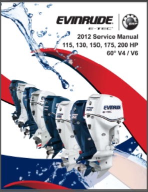 Evinrude 5008738