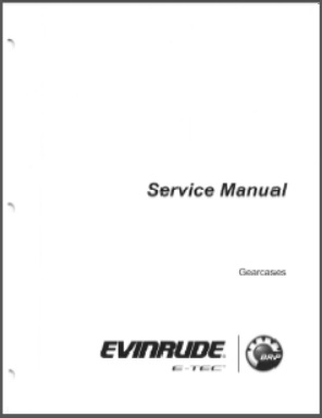 Evinrude 5010439