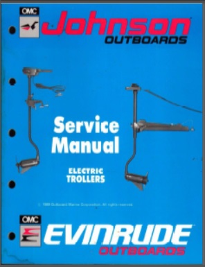 Evinrude 507869