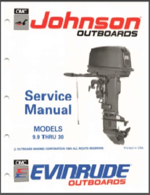 Evinrude 507946