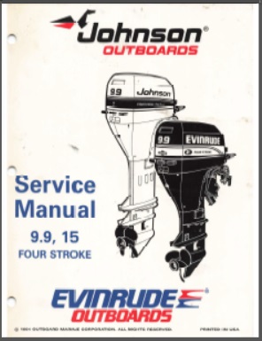 Evinrude 503140