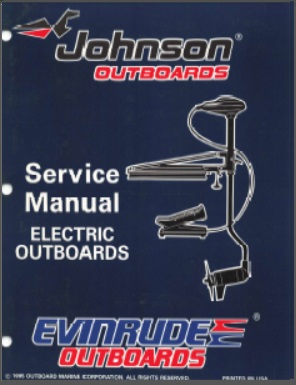 Evinrude 507119