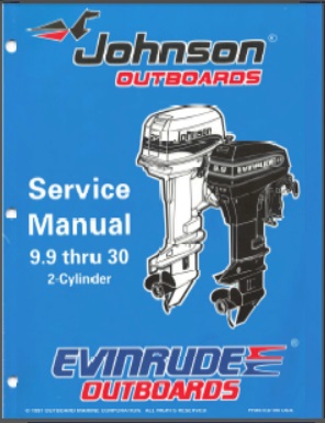 Evinrude 520204